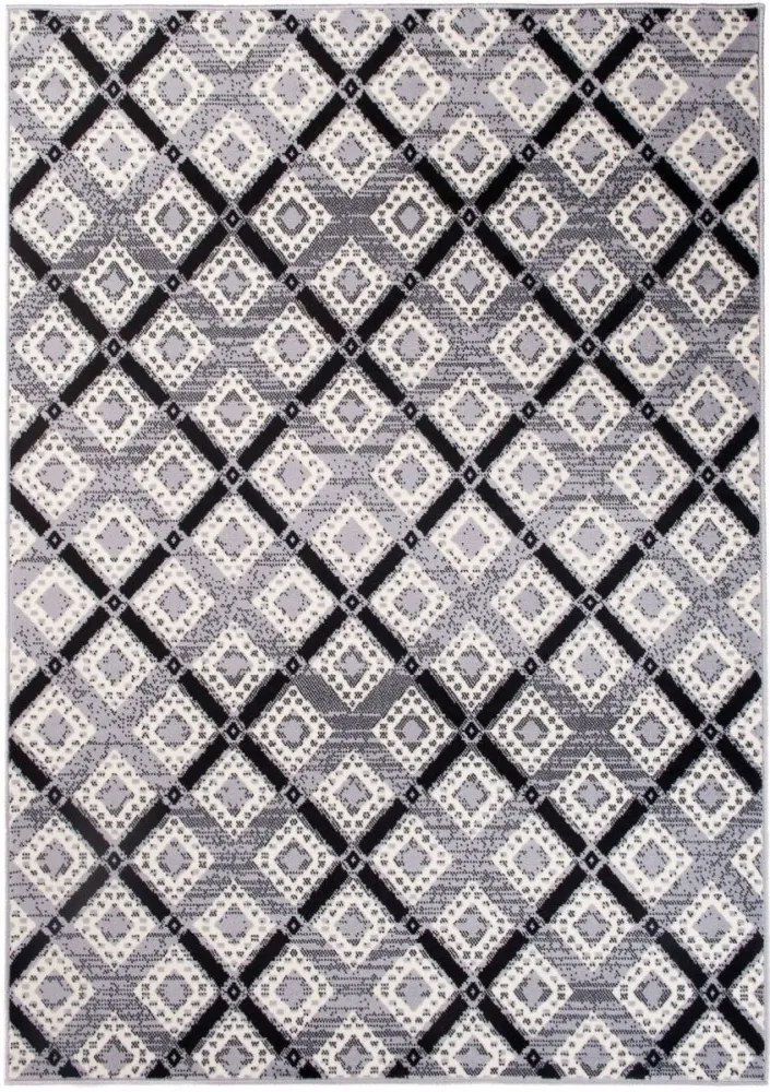 Kusový koberec PP Ryan sivý, Velikosti 120x170cm