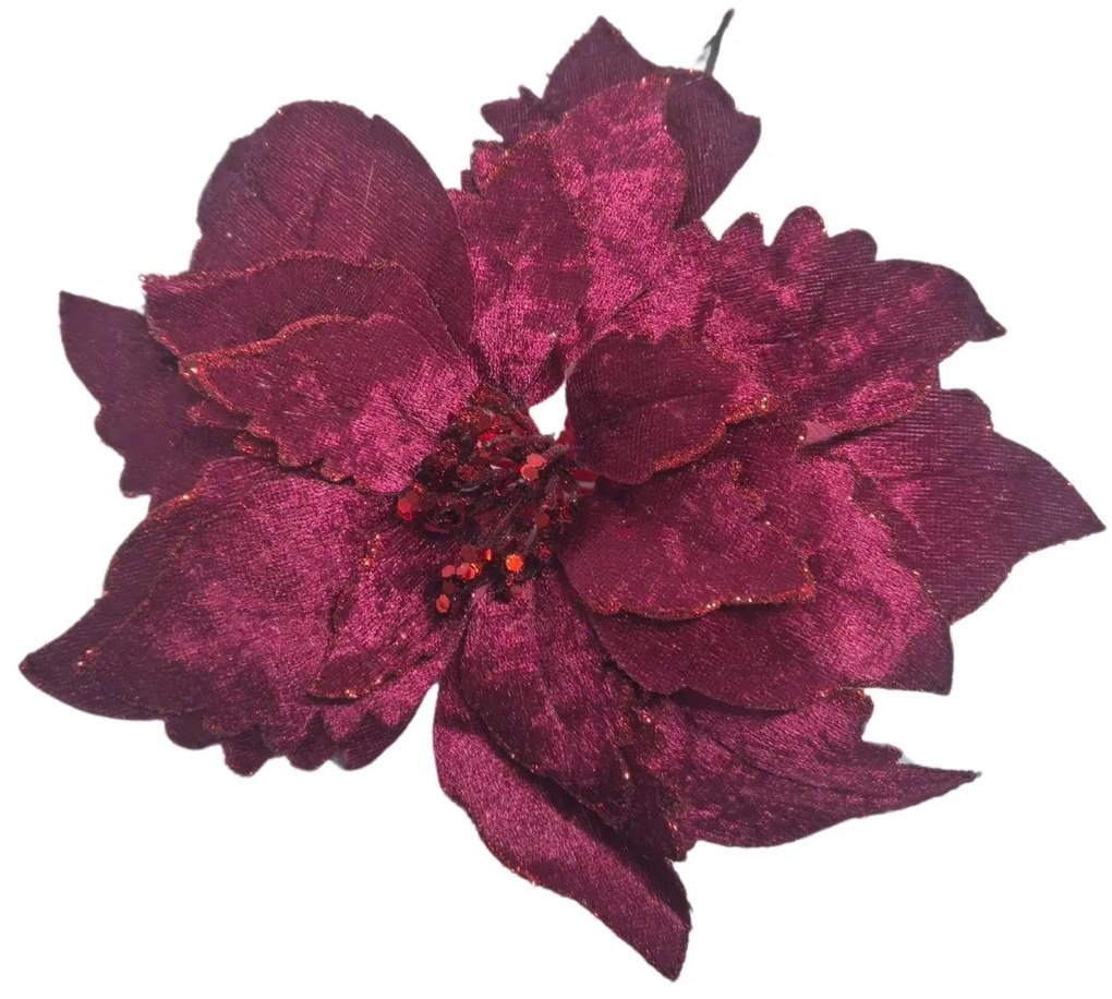 Bordová vianočná ruža 24cm