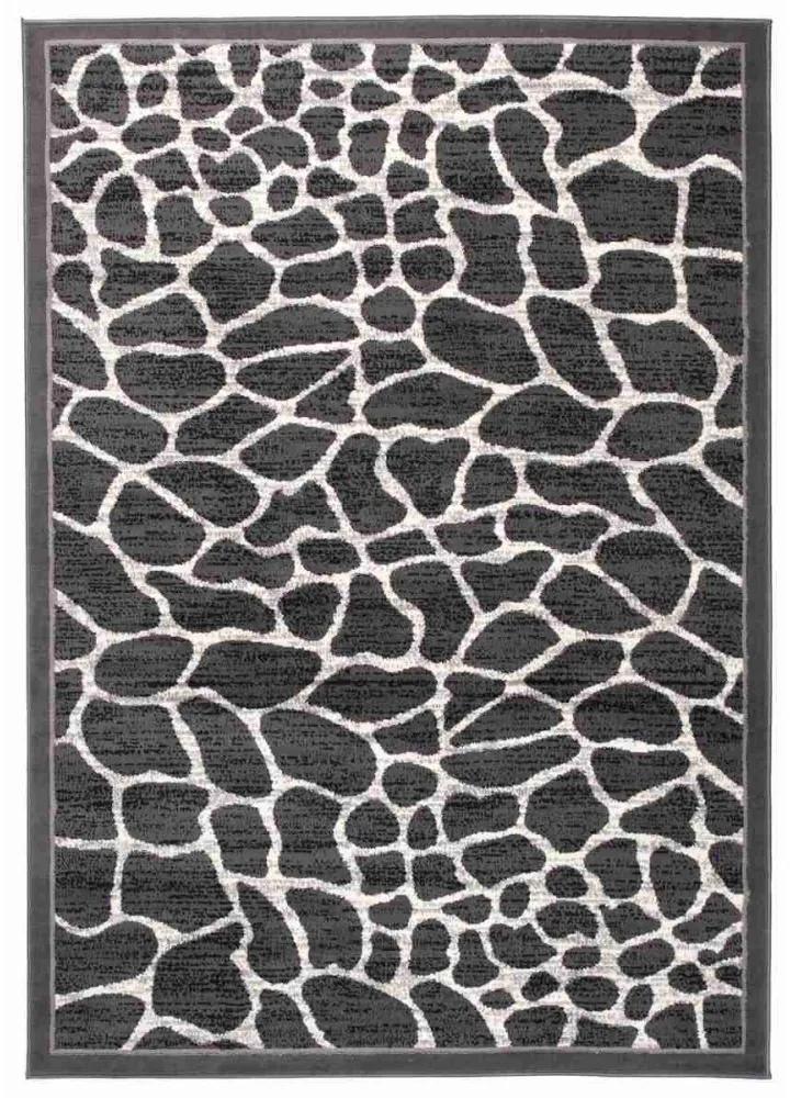 Kusový koberec PP Eglo šedý, Velikosti 220x300cm