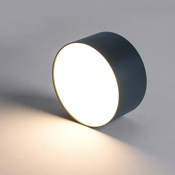 BRILAGI - LED Vonkajšie stropné svietidlo FORIS LED/20W/230V pr. 15 cm antracit IP44