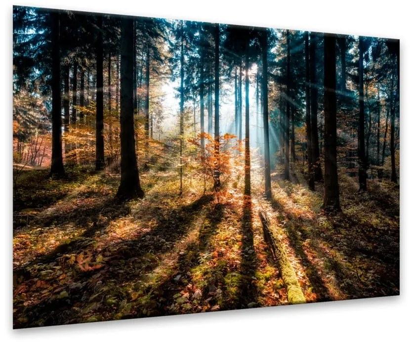 Obraz Styler Glasspik Autumn Sunset, 70 × 100 cm