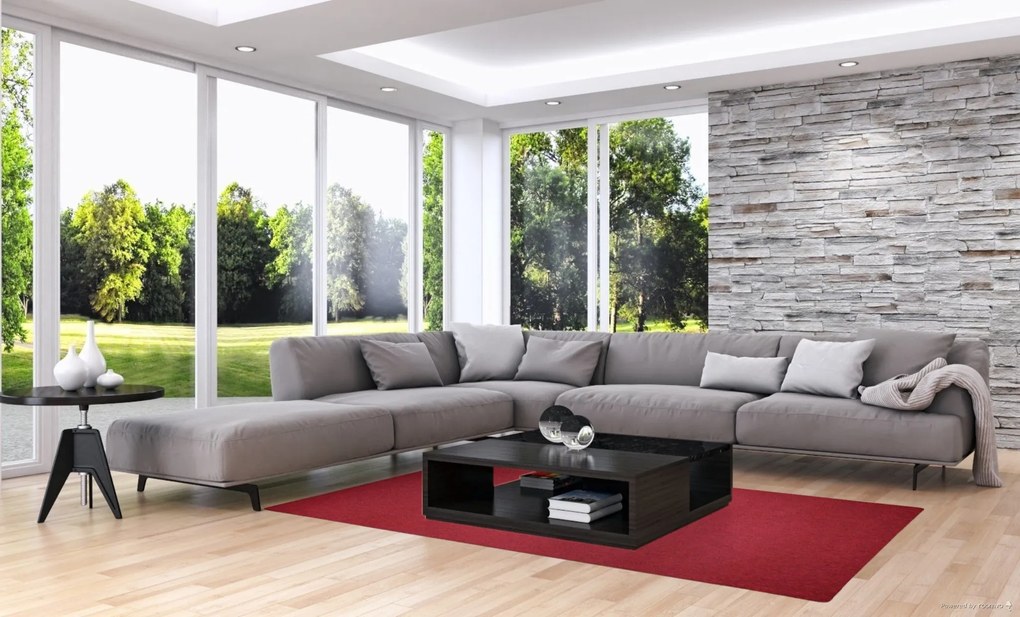 Vopi, Kusový koberec Astra červená, 50x80, červená, chodba / predsieň