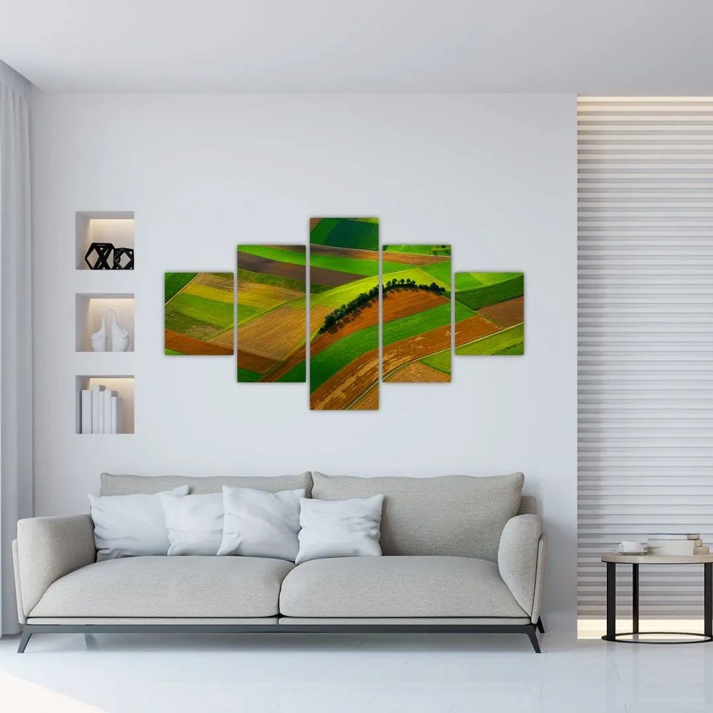 Obraz - Polia, lúky (125x70 cm), 40 ďalších rozmerov