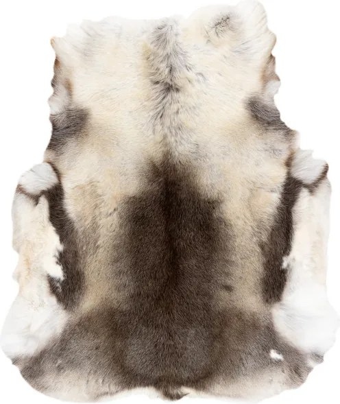 Koberec RENIFER POK017 sivý / biely