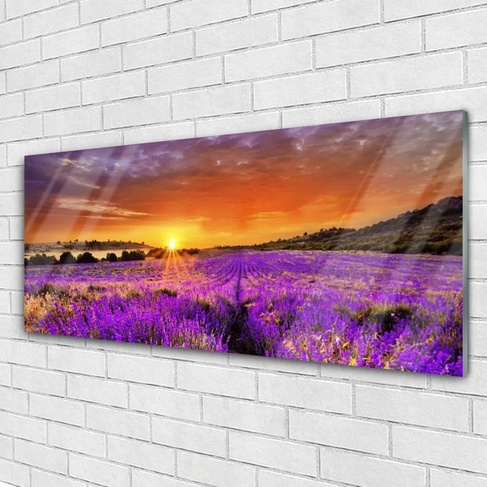 Obraz plexi Západ slnka pole levanduľa 125x50 cm