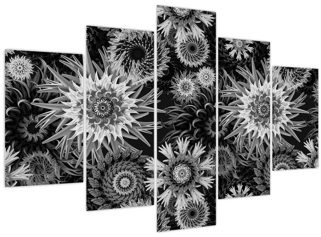 Obraz - Čiernobiele bodliaky (150x105 cm)