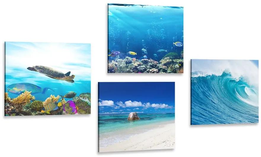 Set obrazov morský svet Varianta: 4x 60x60