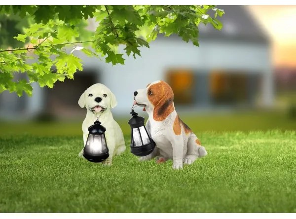 Globo 33271 - LED Solárne svietidlo SOLAR LED/0,06W/3V pes IP44