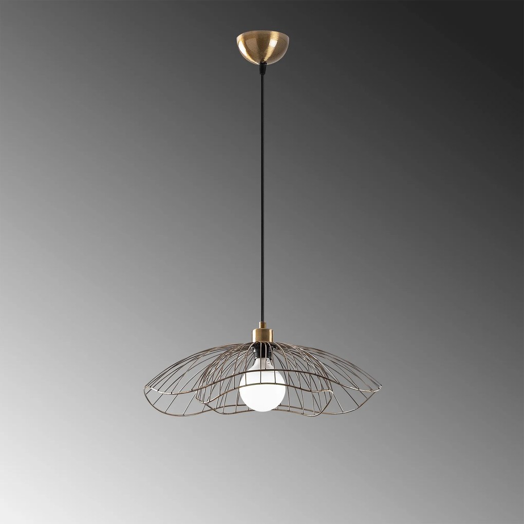 Farac - 6381