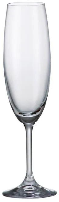 BOHEMIA SYLVIA POHÁR NA ŠAMPANSKÉ 220 ML SADA 6 KS