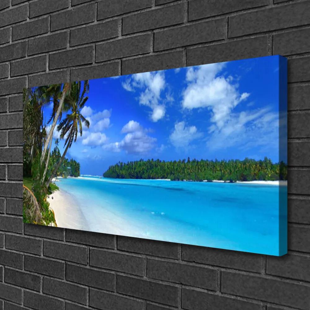 Obraz na plátne Pláž palmy more krajina 100x50 cm