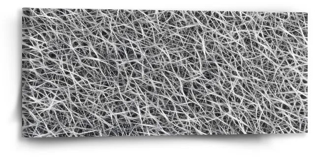 Sablio Obraz Biele vlákna - 110x50 cm