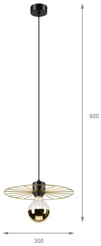 Luster na lanku MONTANA 1xE27/15W/230V pr. 30 cm zlatá/čierna
