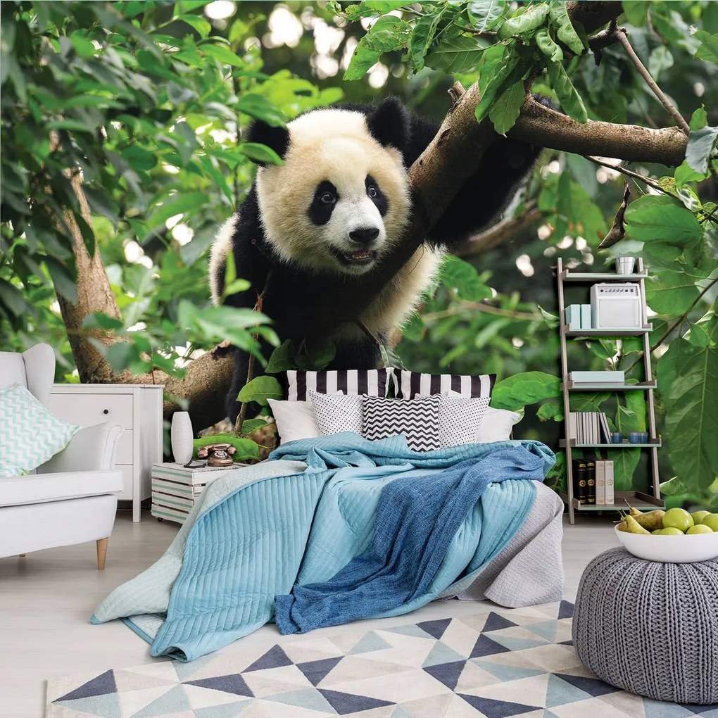 Fototapeta - Panda na strome (254x184 cm)
