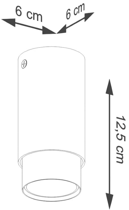 Stropné svietidlo v čierno-zlatej farbe Crown – Sollux