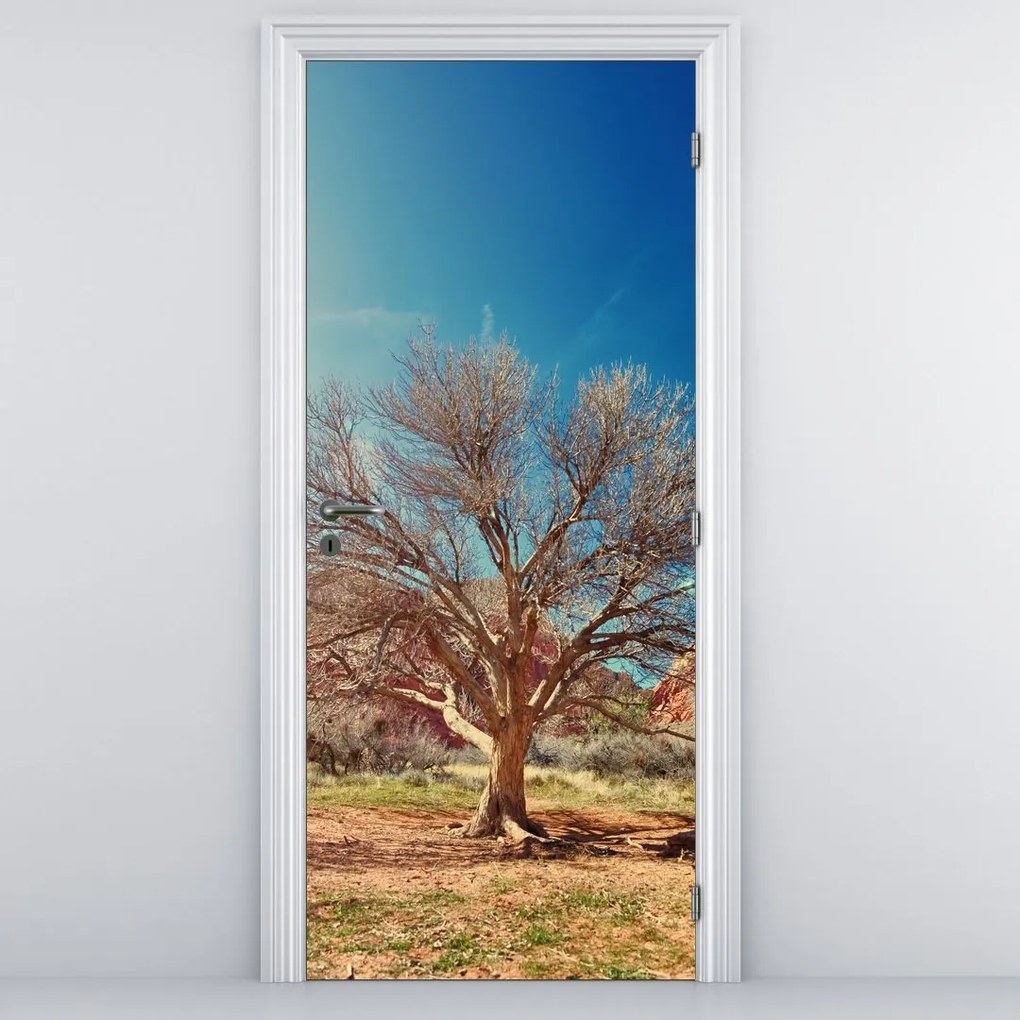 Fototapeta na dvere - Strom v púšti (95x205cm)