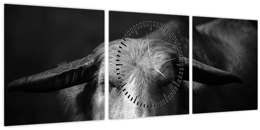 Obraz - Krava (s hodinami) (90x30 cm)