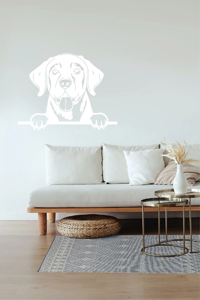 Veselá Stena Samolepka Labradorský retriever Farba: béžová, Veľkosť: 80 x 62 cm