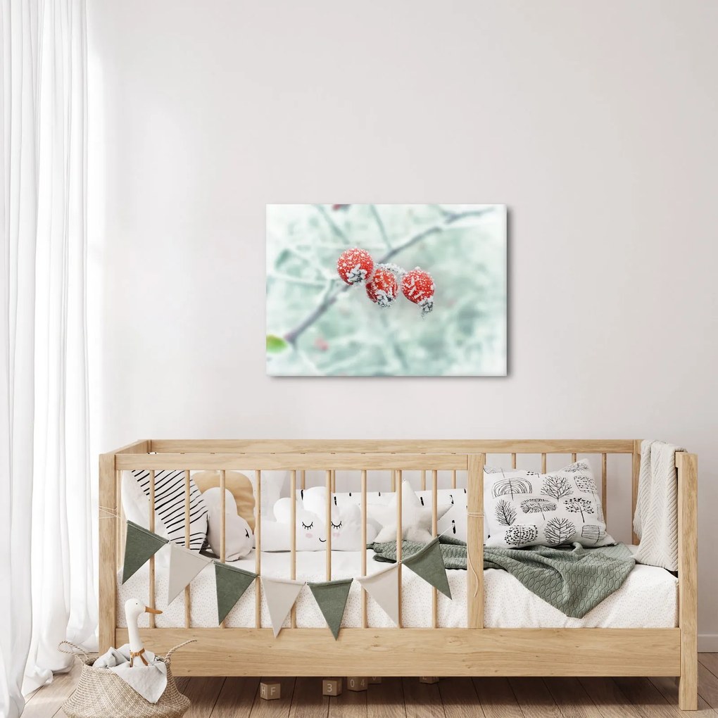 Obraz zmrznutých šípok (70x50 cm)