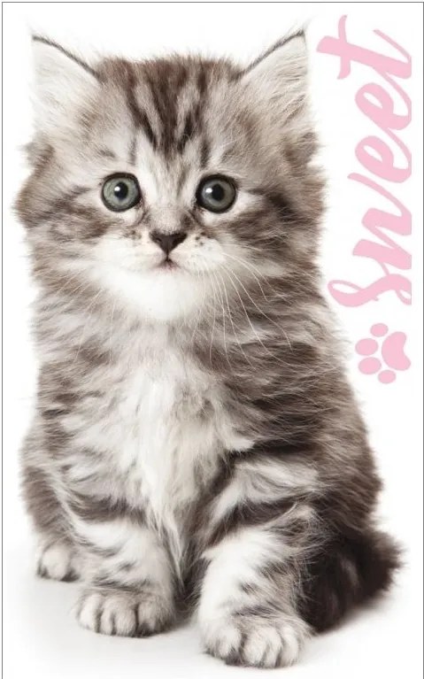 Uterák na ruky, či na tvár s motívom Sladké mačiatko - 100% bavlna s gramážou 350 gr./m² - 30 x 50 cm