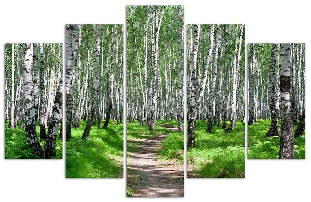 Obraz na plátně pětidílný Příroda březového lesa - 200x100 cm