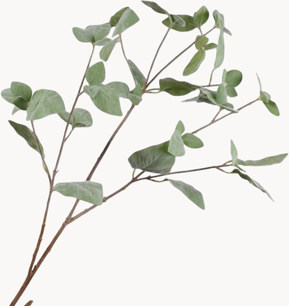 Rastlinné dekorácie Kalanchoe, 2 ks