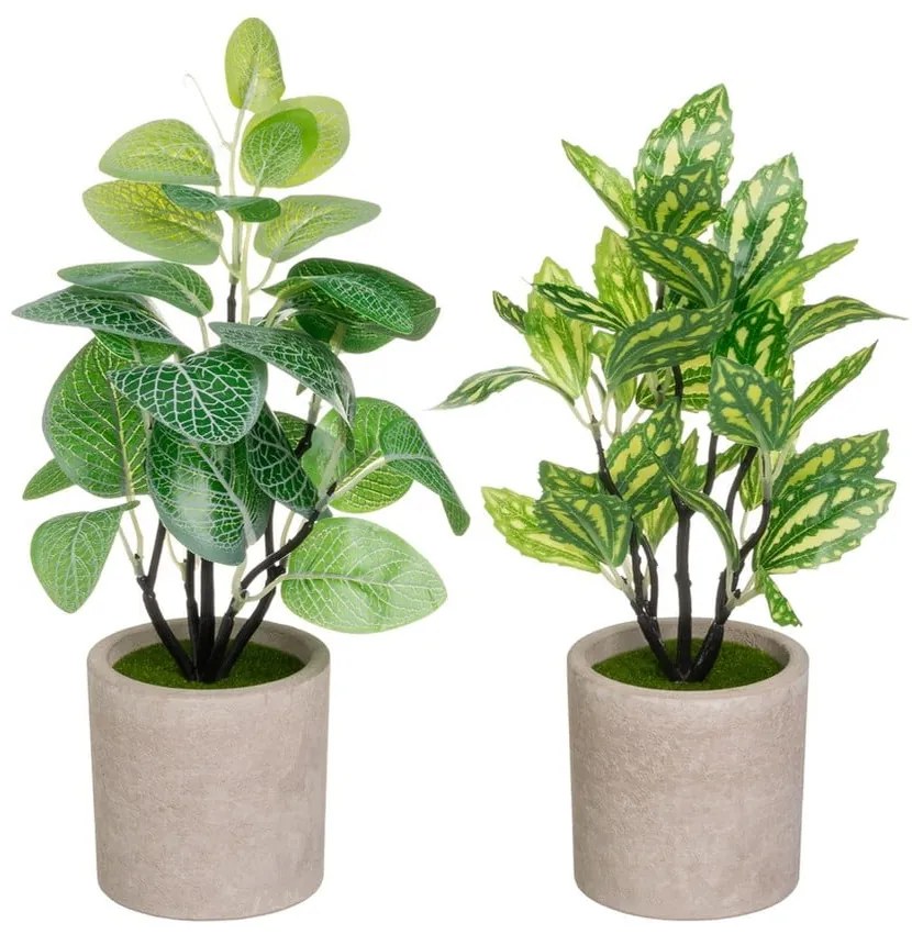 Umelé rastliny v súprave 2 ks (výška 28 cm) – Casa Selección