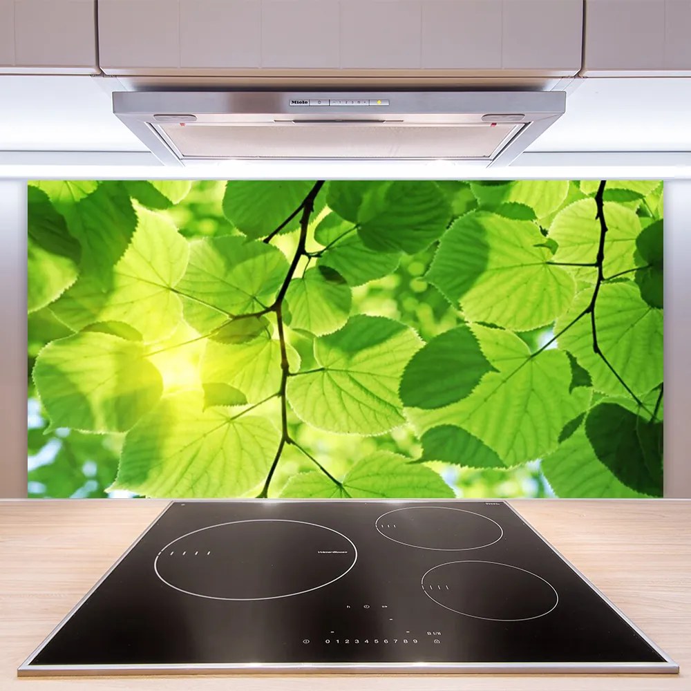Sklenený obklad Do kuchyne Listy príroda rastlina 140x70 cm