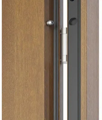 Kovové vchodové dvere S68 Neptun 90 P dub zlatý