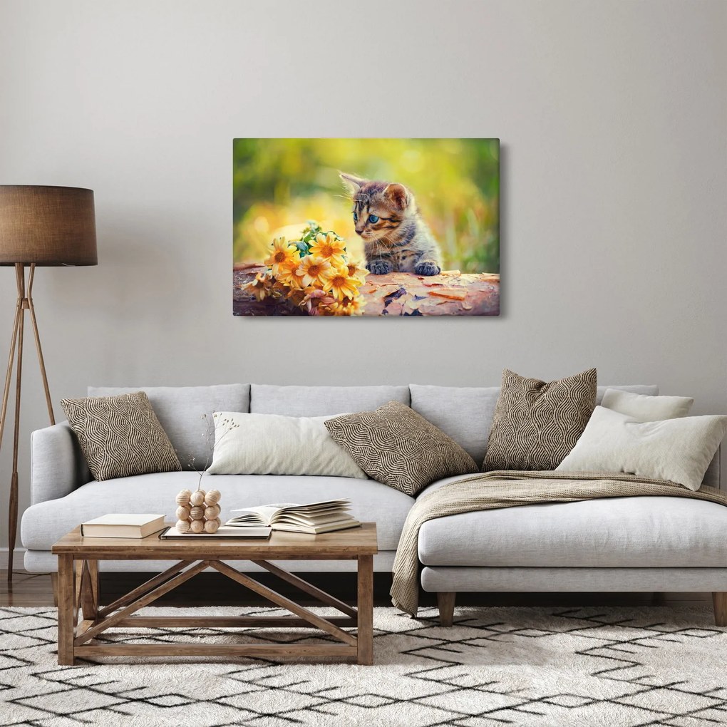 Obraz mačiatka pozerajúce sa na kvetinu (90x60 cm)