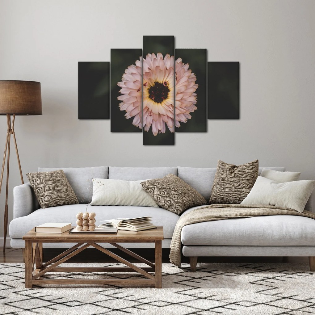 Obraz oranžovej kvetiny (150x105 cm)