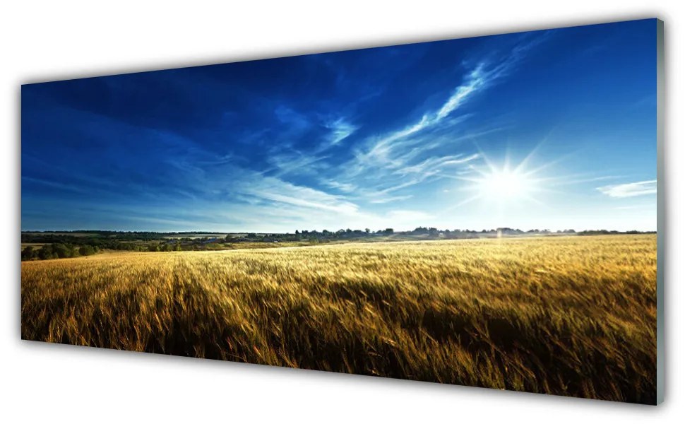Obraz plexi Pole obilie slnko krajina 125x50 cm
