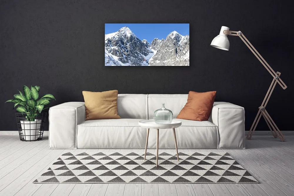 Obraz Canvas Hora sneh príroda 100x50 cm