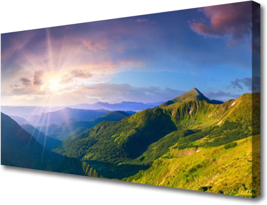 Obraz Canvas Hora louka slunce krajina