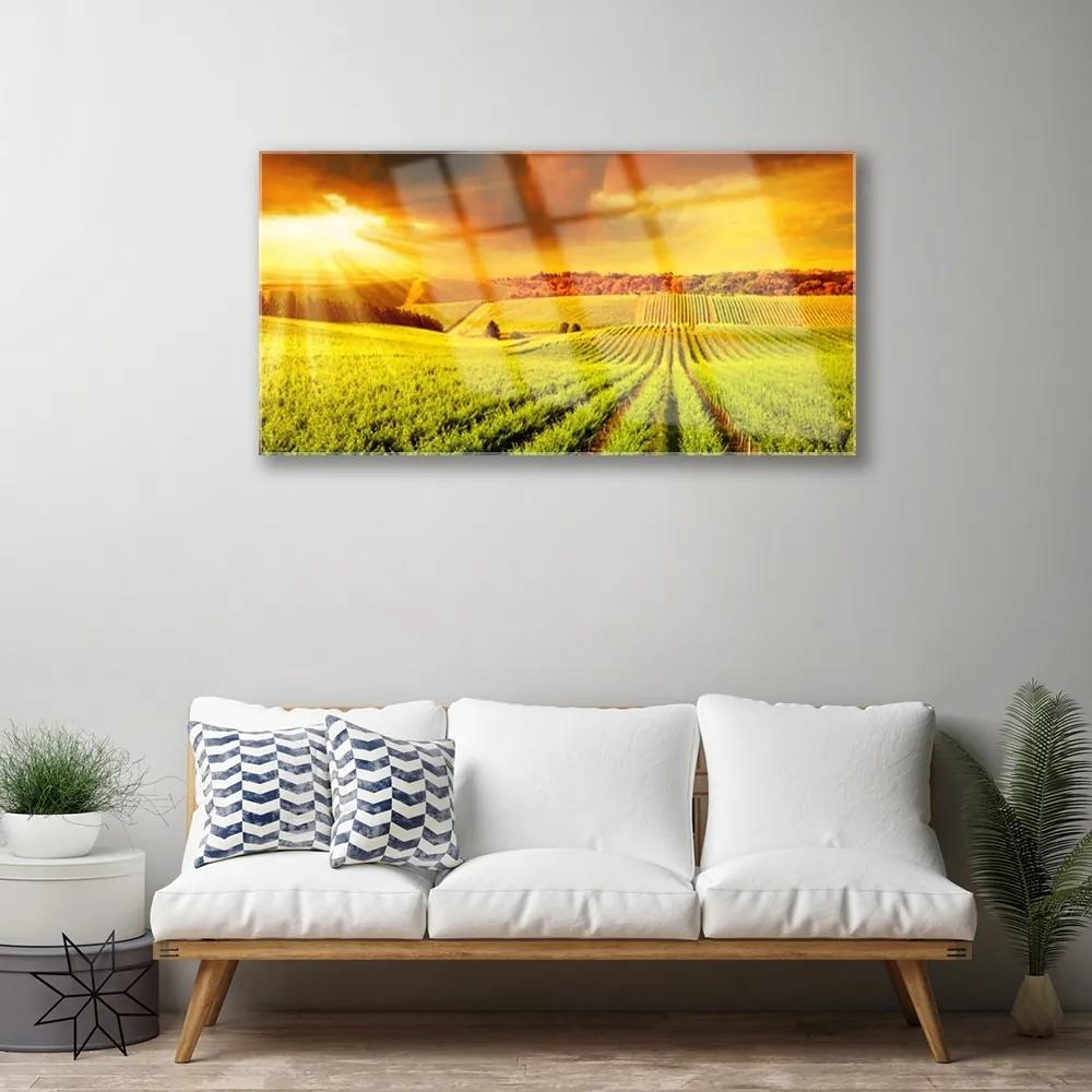 Obraz na akrylátovom skle Pole západ slnka krajina 100x50 cm