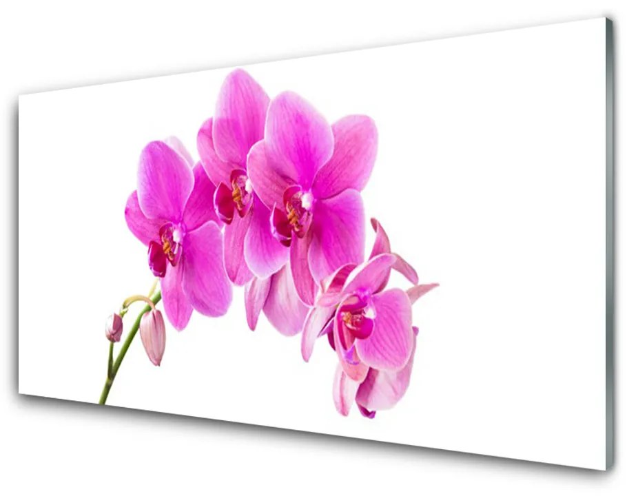 Obraz plexi Vstavač kvet orchidea 100x50 cm 2 Prívesky