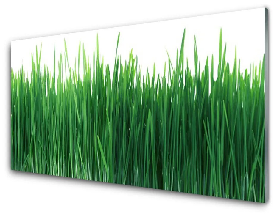 Obraz plexi Tráva príroda rastlina 100x50cm