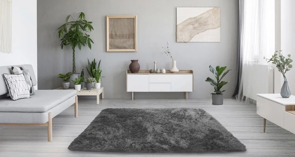 TZ Tmavosivý obdĺžnikový shaggy koberec Lana Rozmer: 100x150