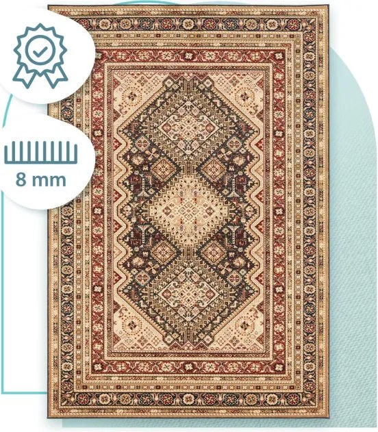 Koberec Agnella Standard Remo tmavohnedý