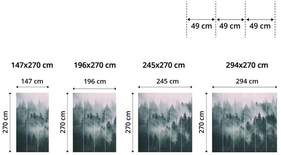 Samolepiaca fototapeta čiernobiela púpava