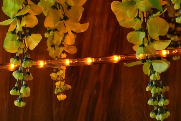 Nexos 575 LED svetelný kábel 20 m - žltá, 480 diód