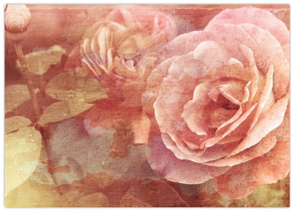 Obraz ruží (70x50 cm)