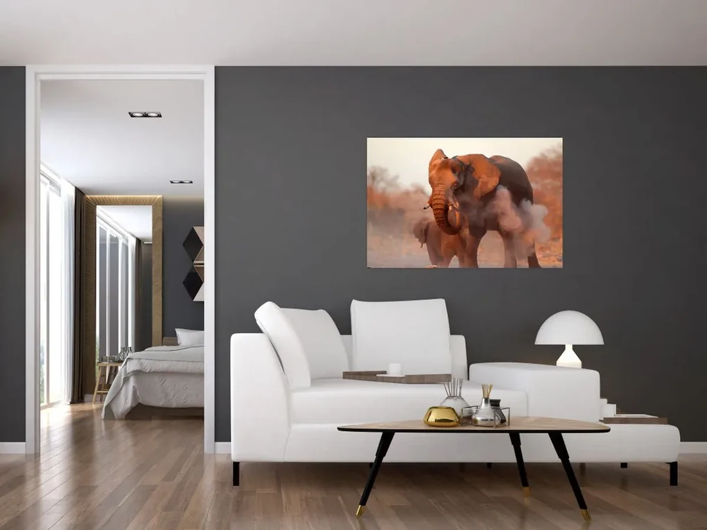 Obraz - Veľký slon africký (90x60 cm)