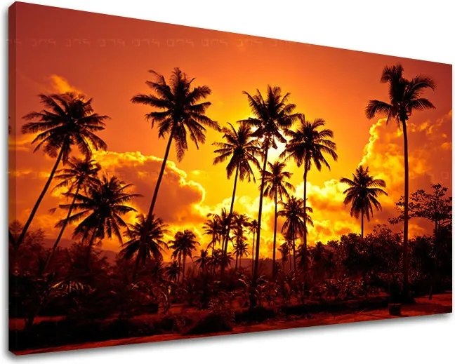 Obraz na stenu ZÁPAD SLNKA