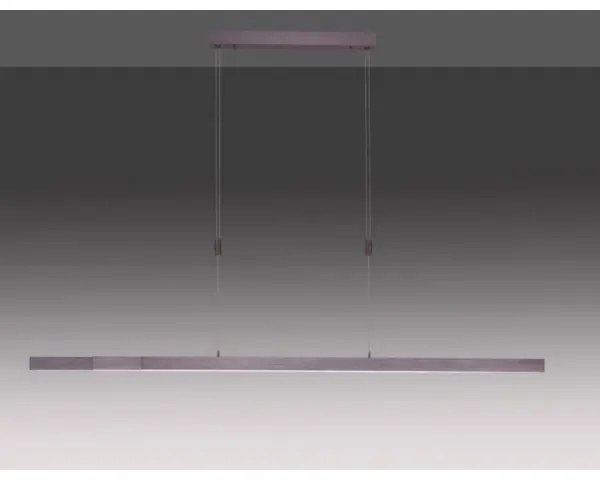 Paul Neuhaus 2568-24 - LED Stmievateľný luster na lanku ADRIANA LED/14W/230V