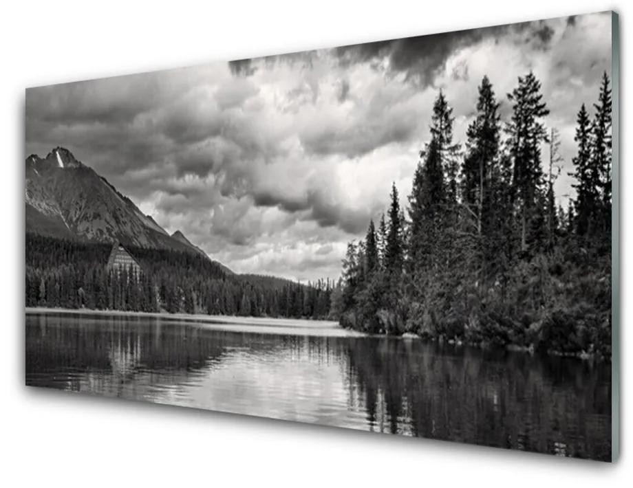 Obraz plexi Hora les jazero príroda 100x50cm