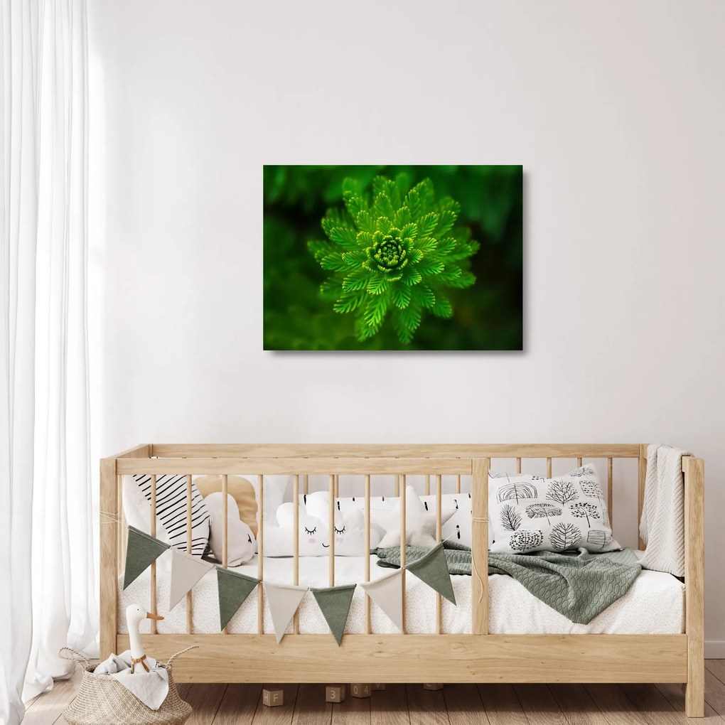 Sklenený obraz ihličnanu (70x50 cm)