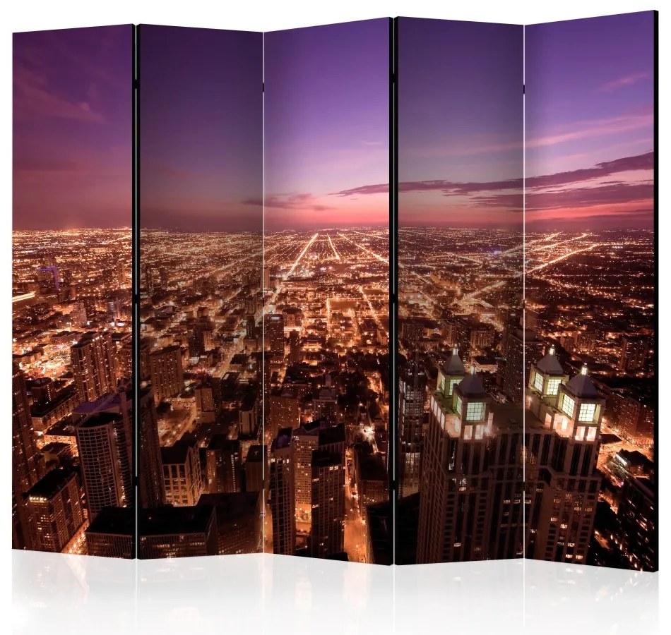 Artgeist Paraván - Chicago Panorama II [Room Dividers]
