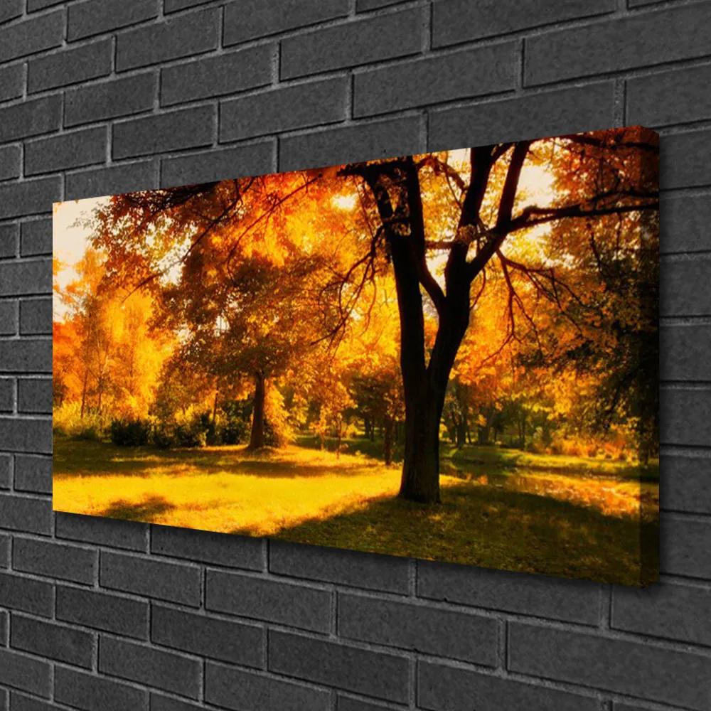 Obraz Canvas Stromy jeseň príroda 140x70 cm