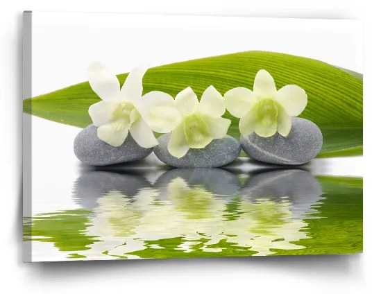 Sablio Obraz Biela orchidea - 90x60 cm